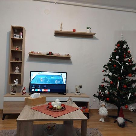 Apartament Ambrus Sighişoara Exterior foto
