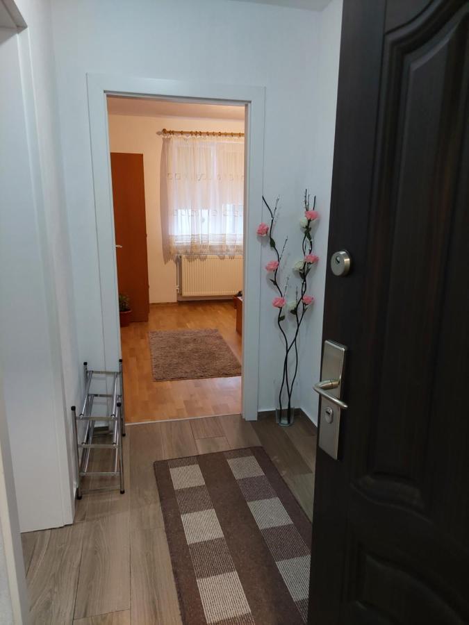 Apartament Ambrus Sighişoara Exterior foto