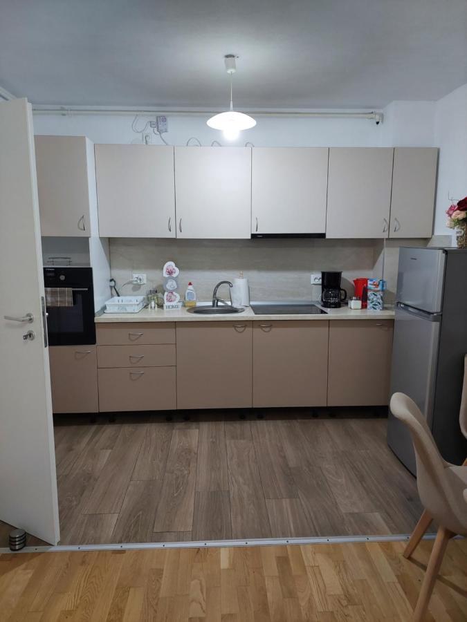 Apartament Ambrus Sighişoara Exterior foto